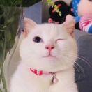 澜重名了的个人资料头像