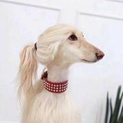 quuee的个人资料头像