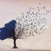 SlIENTT的个人资料头像