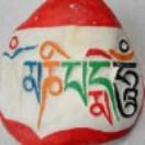 白岩石的个人资料头像