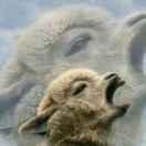 食人张的个人资料头像