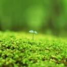 sunshine酱39406的个人资料头像