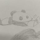 sbss的个人资料头像