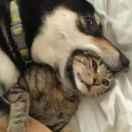 rotatemua的个人资料头像