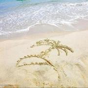 fengligao的个人资料头像