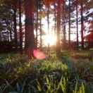 癡癡的等你歸的个人资料头像