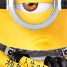 吴青君的个人资料头像