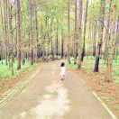 MM的个人资料头像