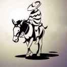 宁静致远同志39472的个人资料头像