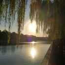 浮萍落草的个人资料头像