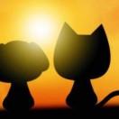 春辉的个人资料头像