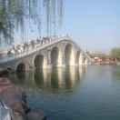 像火一样的个人资料头像