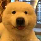 robinh00d就是我的个人资料头像