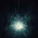 浮生若梦君39545的个人资料头像