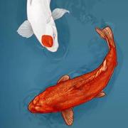 xiezhm3的个人资料头像