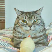 豆比普的个人资料头像