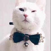 chenyucai的个人资料头像