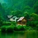 Chauncy的个人资料头像