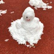 视觉图表的个人资料头像