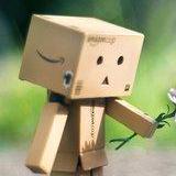 Never13zt的个人资料头像