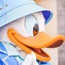 neonan的个人资料头像