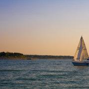 项阳_wuxy的个人资料头像