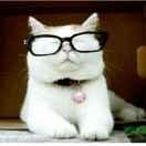 AmriStrong的个人资料头像