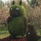 Totoro爱学习39721的个人资料头像