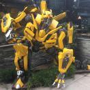 37的青春的个人资料头像