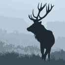 爱学习的个人资料头像