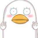 王帕克的个人资料头像