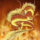 小野猪的个人资料头像