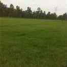 模式的个人资料头像