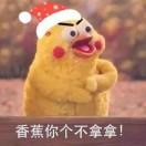 毛怼怼的个人资料头像