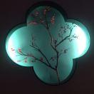 绿柳的个人资料头像