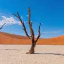 也好吧的个人资料头像