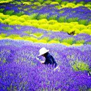 等一个人眼泪的个人资料头像