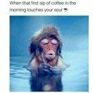 张果老的个人资料头像