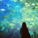 Jade同志39948的个人资料头像