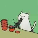 bisnow的个人资料头像