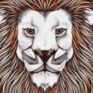 he的个人资料头像