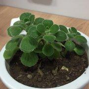 iCityJiNan的个人资料头像