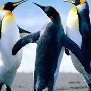 yxw_vito的个人资料头像