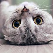 puyang1017的个人资料头像