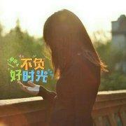 迷路在猫咪森林的个人资料头像