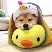 Chrishuangxw的个人资料头像