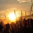 钟离本尊的个人资料头像