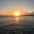 allen在掘金40183的个人资料头像