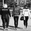 凌波微步君40239的个人资料头像