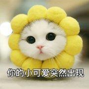 colorLei的个人资料头像